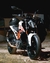 Escape KTM Duke 390 Full INOX SBK