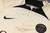 Conjunto de Treino Paris Saint Germain 23/24 - Nike - Calça e Jaqueta Meio Zíper - SportsCenter - camisas de Time, camisas da NFL, regatas de Basquete e muito mais