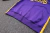 Conjunto NBA Los Angeles Lakers 23/24 - Nike - Jaqueta e Calça - Roxo - comprar online