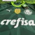 Camisa Palmeiras Home 23/24 - Puma - Masculino Torcedor - SportsCenter - camisas de Time, camisas da NFL, regatas de Basquete e muito mais