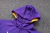 Conjunto NBA Los Angeles Lakers 23/24 - Nike - Jaqueta e Calça - Roxo - SportsCenter - camisas de Time, camisas da NFL, regatas de Basquete e muito mais