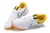 Imagem do Futsal Nike Supreme X SB Gato Elite IC