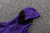 Conjunto NBA Phoenix Suns 21/22 - Nike - Jaqueta e Calça - Roxo - SportsCenter - camisas de Time, camisas da NFL, regatas de Basquete e muito mais