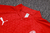 Conjunto de Treino Milan 23/24 - Puma - Calça e Jaqueta Meio Zíper - loja online