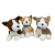 Cachorro De Pelúcia 25cm