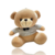 Urso Com Blusa É Laço 23x23x35cm
