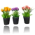 Flor Artificial Tulipa 24cm - comprar online
