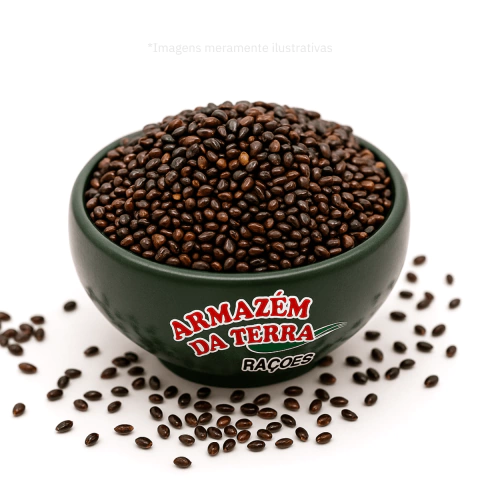 Sementes de Painço Preto - 1KG a Granel