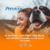 Previcox 57 mg Anti-inflamatório Cães 10 comprimidos na internet