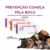 Stomorgyl 2 Antibiótico Cães e Gatos 20 Comprimidos - Armazém da Terra Rações