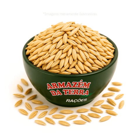 Sementes de Arroz Cateto - 1KG a Granel