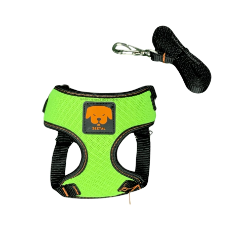 Conjunto Neuza Space Peitoral + Guia 00 - Ajustável p/ Cães