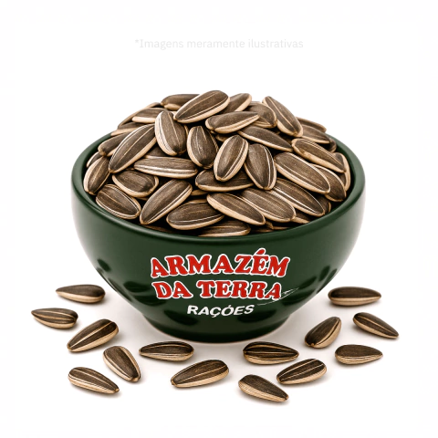 Sementes Girassol Graúdo - 1KG a Granel