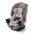 Butaca Booster Para Auto 4Ever DLX 5 En 1 Graco