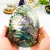 Concha de Abalone Natural - comprar online
