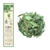 Cana do Brejo, 16g | Costus spicatus