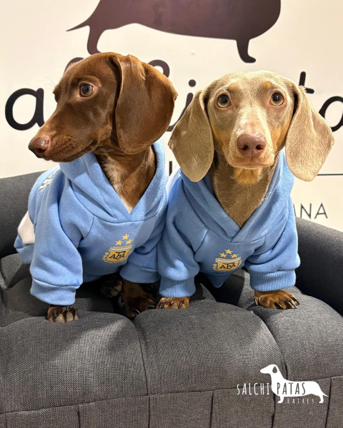 Buzo Argentina de Friza c/capucha y mangas para Mascotas