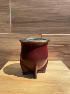 CAMIONERO PREMIUM en internet