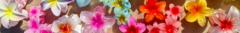 Banner de la categoría Broches