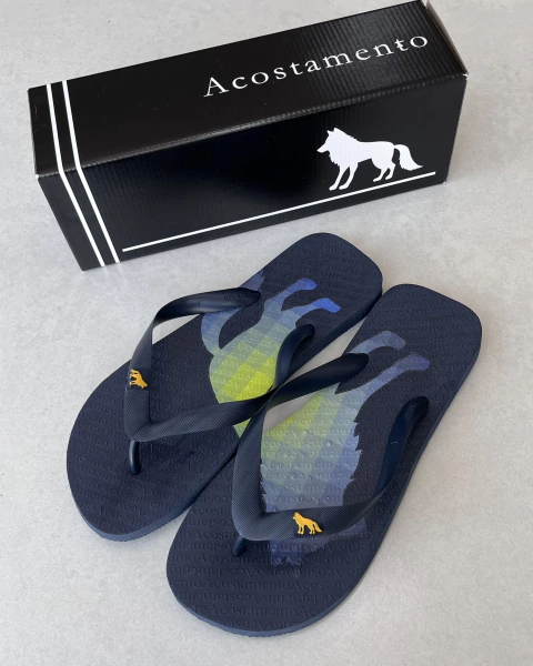 Chinelo Acostamento - comprar online