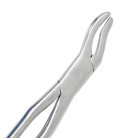 Boticão para Pré-molares e Molares Pegada Lateral