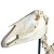 Esqueleto de Cavalo Completo - Ossada Real - comprar online