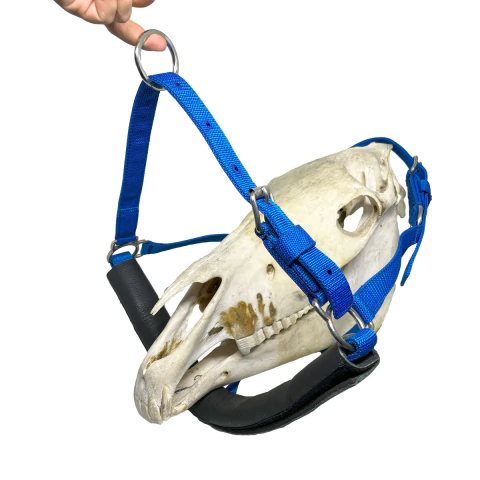 Cabresto Odontológico Equino Ortovet