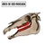 Caneta Odontológica Equina Infinity - Ergonômica Odontossecção e Coronectomia na internet