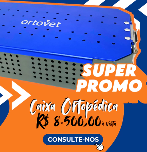 Carrossel 1
