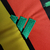 Camisa Ajax Edição Especial "Leão Rastafari" Versão Torcedor Masculino 23/24 - comprar online