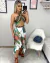 Conjunto Modelador Divo