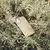 Funda Walden Bio Olive para iPhone 15 - comprar online