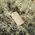 Funda Walden Bio Olive para iPhone 16 Pro Max