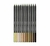 Lapis De Cor Carbon 12 Cores Tons De Pele Redondo Leo 4676 - comprar online