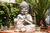 BUDA NIÑO - comprar online