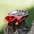 PEDALINES ANCHOS TORNADO ROJOS - WIRTZ RACING en internet