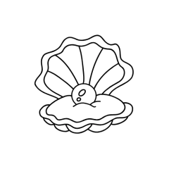 Categoria 5