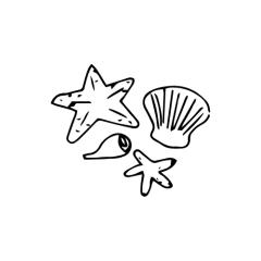 Categoria 8