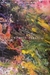 CY TWOMBLY PARADISE (ESPAÑOL)