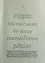 TULIPÁN MONSTRUOSO DE CINCO MARAVILLOSOS PÉTALOS