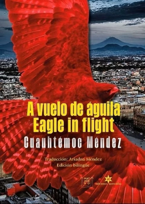 A VUELO DE ÁGUILA