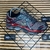 Mizuno Prophecy 1 - Cinza/Cereja