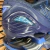 Mizuno Prophecy 8 - Azul - loja online
