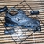 Mizuno Prophecy 8 - Cinza/Azul - comprar online