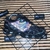Mizuno Prophecy 7 - Preto/Camaleão - comprar online