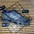 Mizuno Prophecy 7 - Cinza/Camaleão