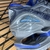 Mizuno Prophecy 7 - Cinza/Camaleão - loja online