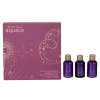 Presente Dia das Mães Miniatura Joli Ameixa - comprar online