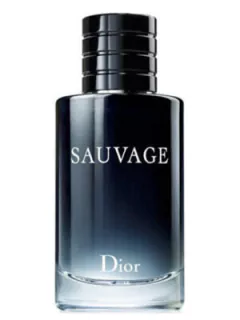 Sauvage Dior- Selvagem Zyone 100ml na internet