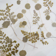 Individuales en internet